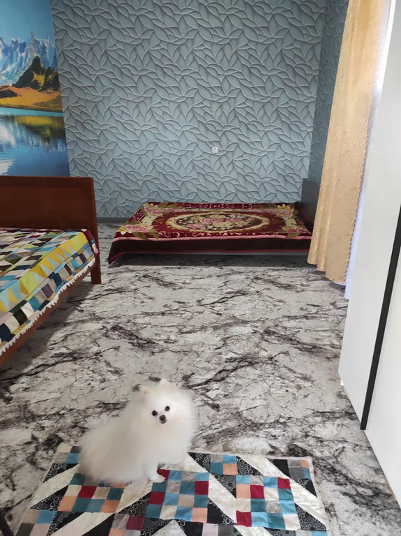 Квартира Уютная комната в частном доме — аренда посуточно в Сухум