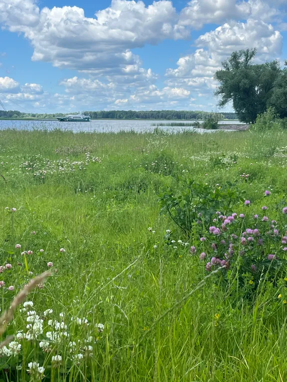 Квартира для прекрасного семейного отдыха