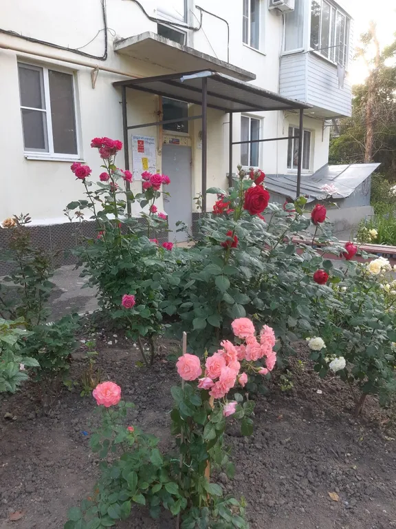 Квартира Квартира Уютная двушка с новым ремонтом в военном городке — Ейск