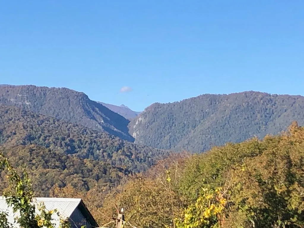 Домик в горах