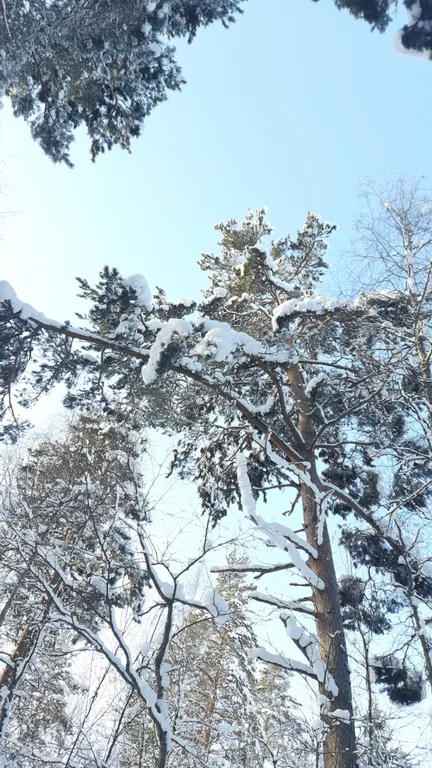 Дом-баня на берегу озера