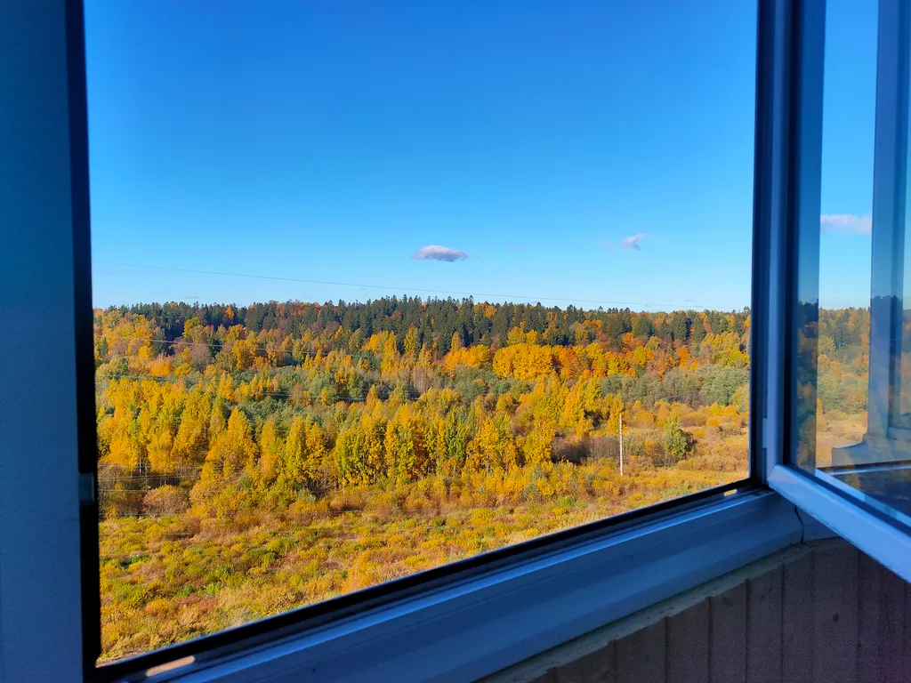 Видовая квартира у Шуваловского парка