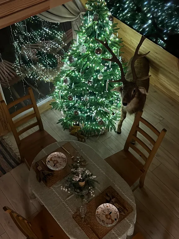 Дом с баней и чаном