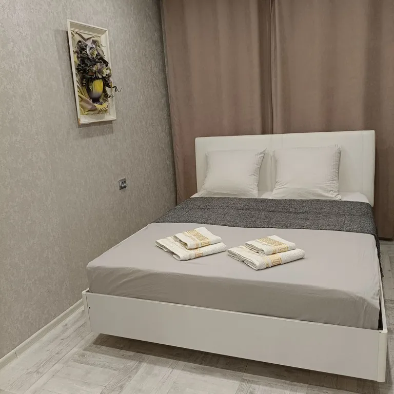 Квартира Уютная квартира в историческом центре Иркутска — Иркутск