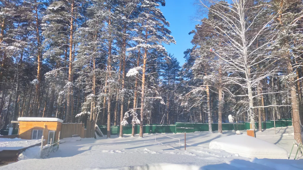 Уютный Дом в Лесу в Аникино