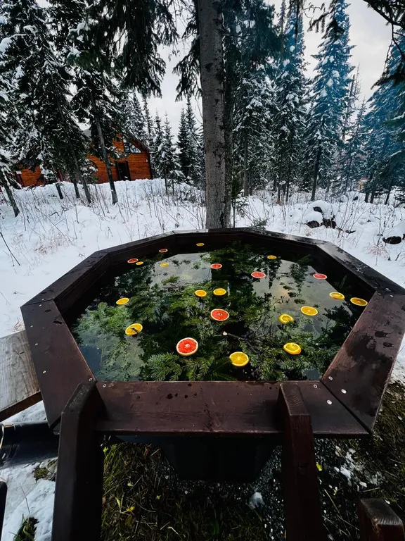 Коттедж Кедровый дом в лесу с панорамным окном и красивым видом на горы — Шерегеш