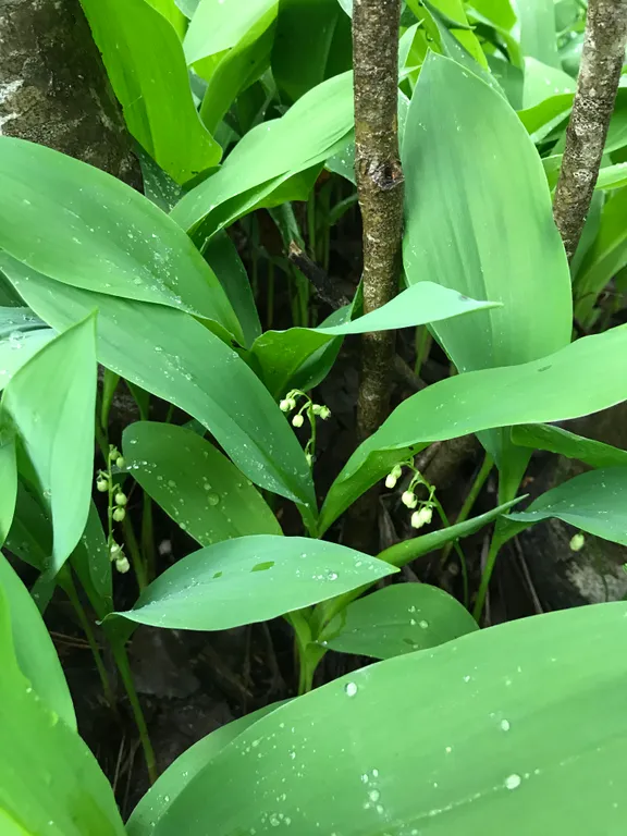 Дом на холме