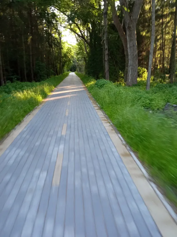 Домик Серфера