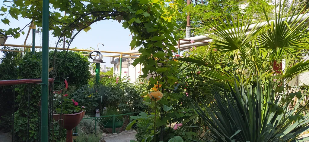 Комната у моря