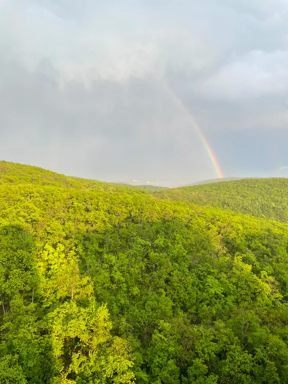 Студия с видом на лес и море