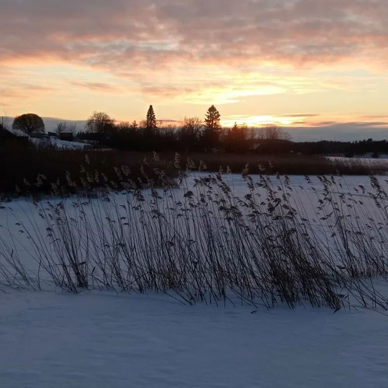 Современный дом на берегу Ладоги