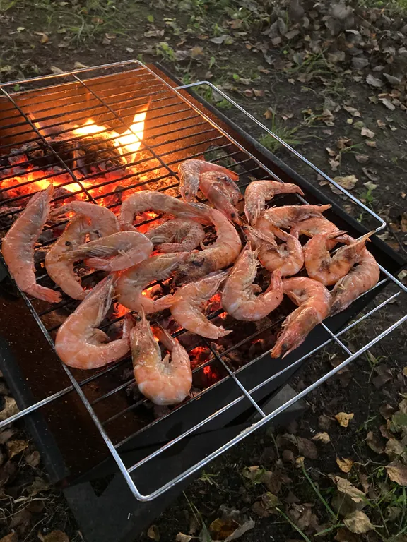 Домик с печью/камином в окружении природы