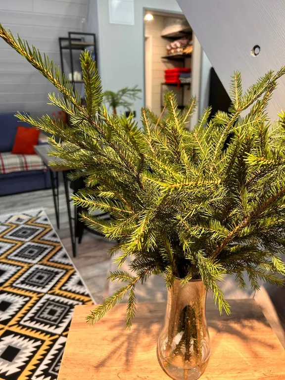 Дом Шмель и Eль