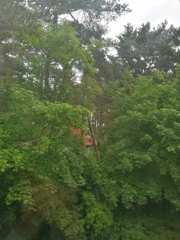 Уютная квартира в историческом центре