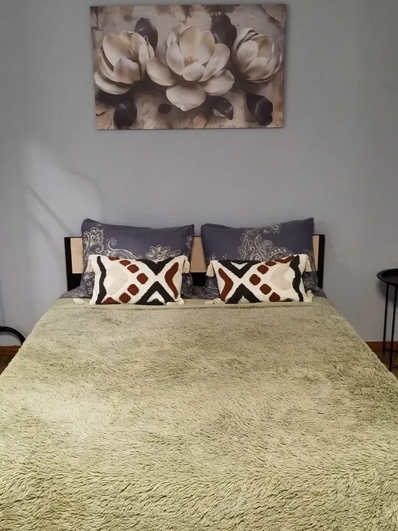 Уютная квартира в центре Дзержинского района