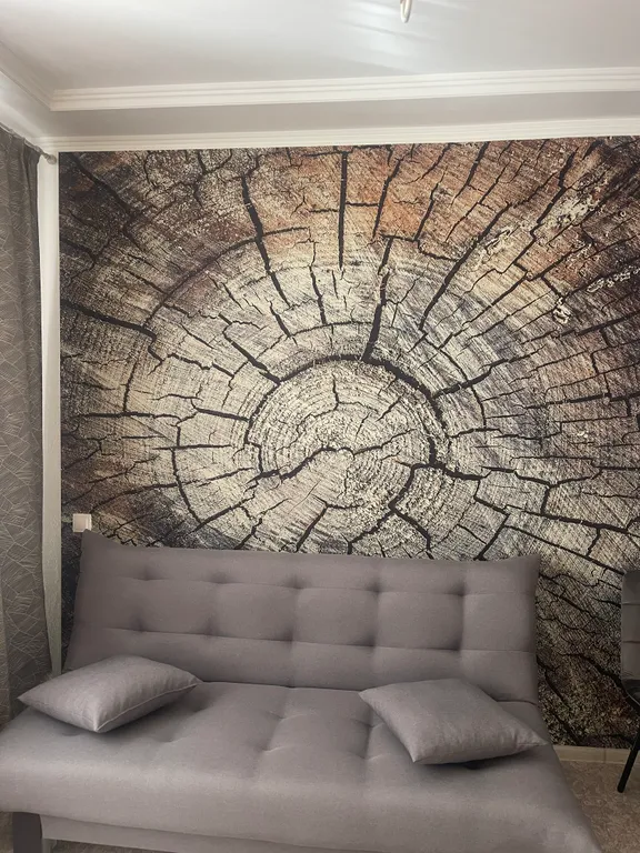 Квартира Квартира Уютная евродвушка с приятной хозяйкой ждёт гостей — Красноярск