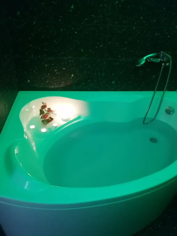 Современная студия с огромной ванной