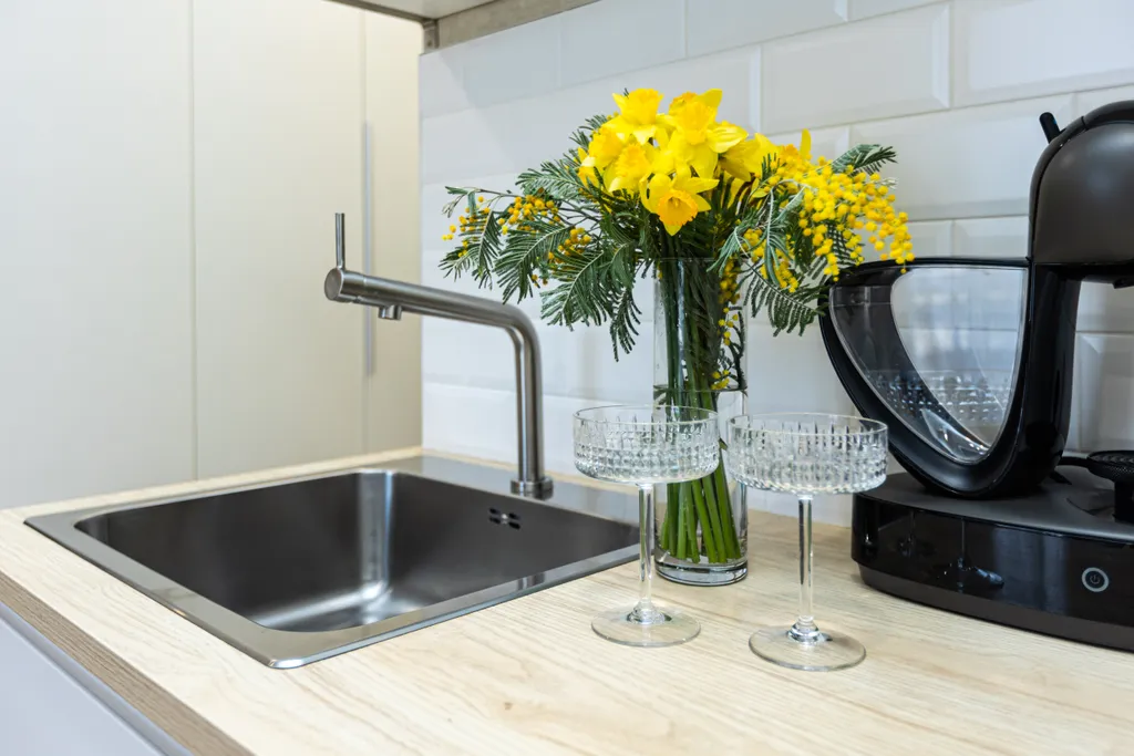 Студия с видом на рассвет в горах, с кухней и балконом