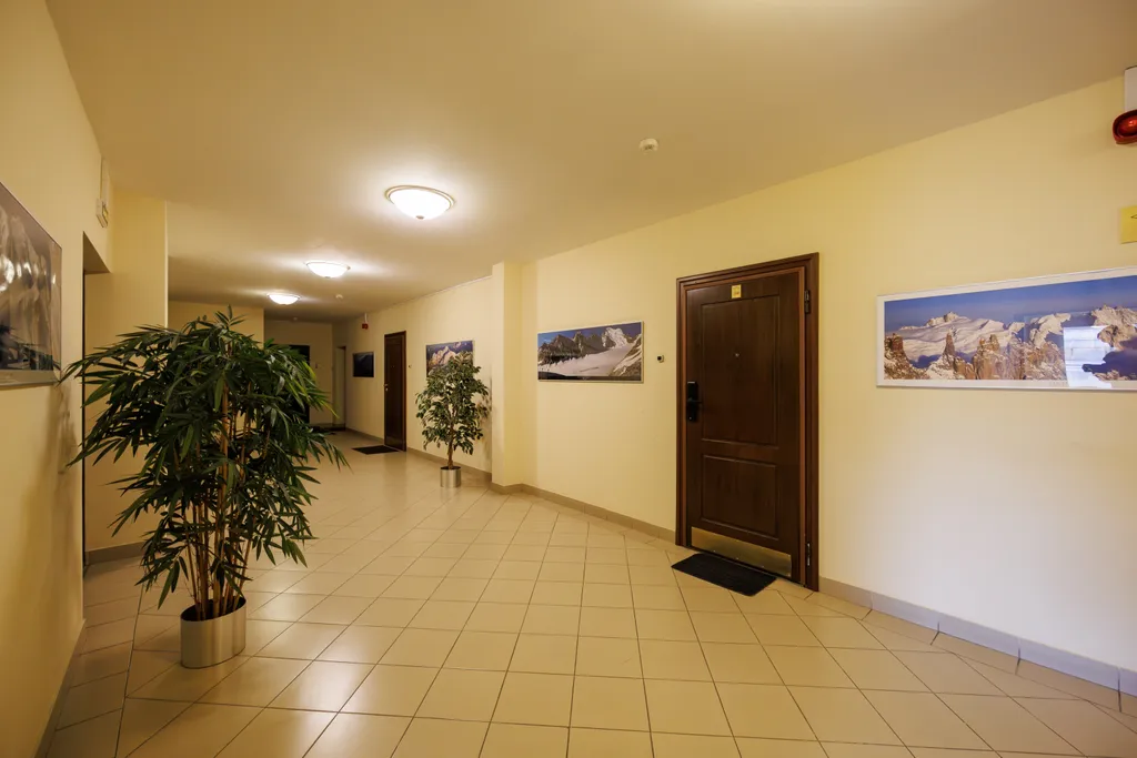 Sutki Rent c видом на Неву и город