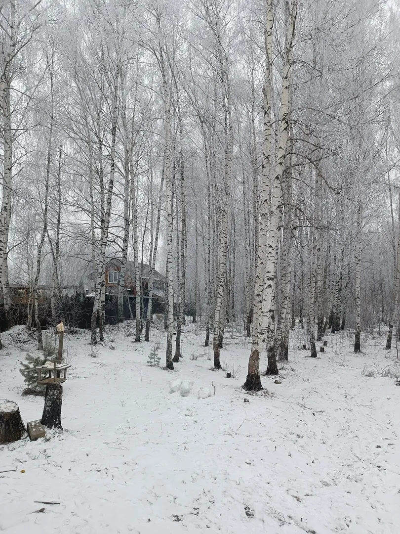 Вид оз окна зимой Вид оз окна зимой