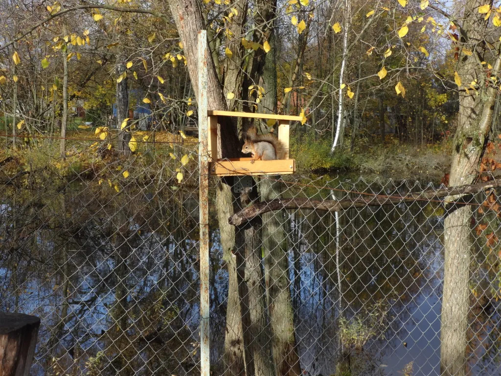 Дом на прудах