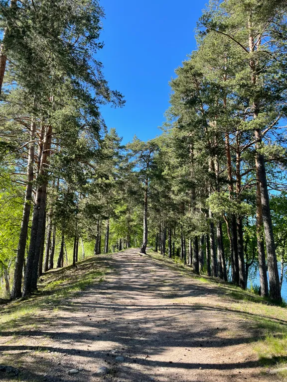 Соловьевка Villa