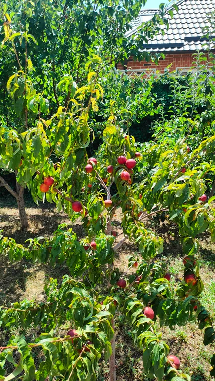 Квартира Квартира Апартамент "Прага" с паркингом и завтраком — Краснодар