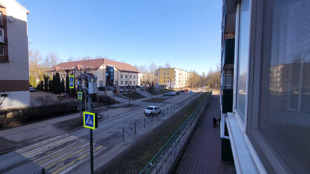 Застенчевая Ива у Пруда