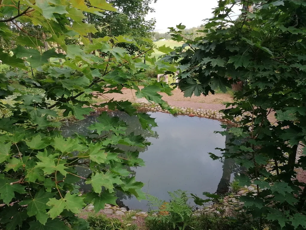 Коттедж у горнолыжного курорта Игора