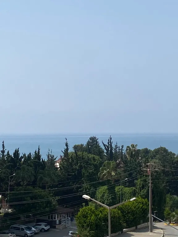 Видовая 1+1 прямо у Соли