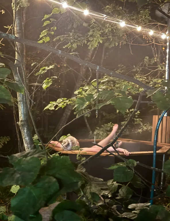 Дом O'Pushka space в березовом лесу