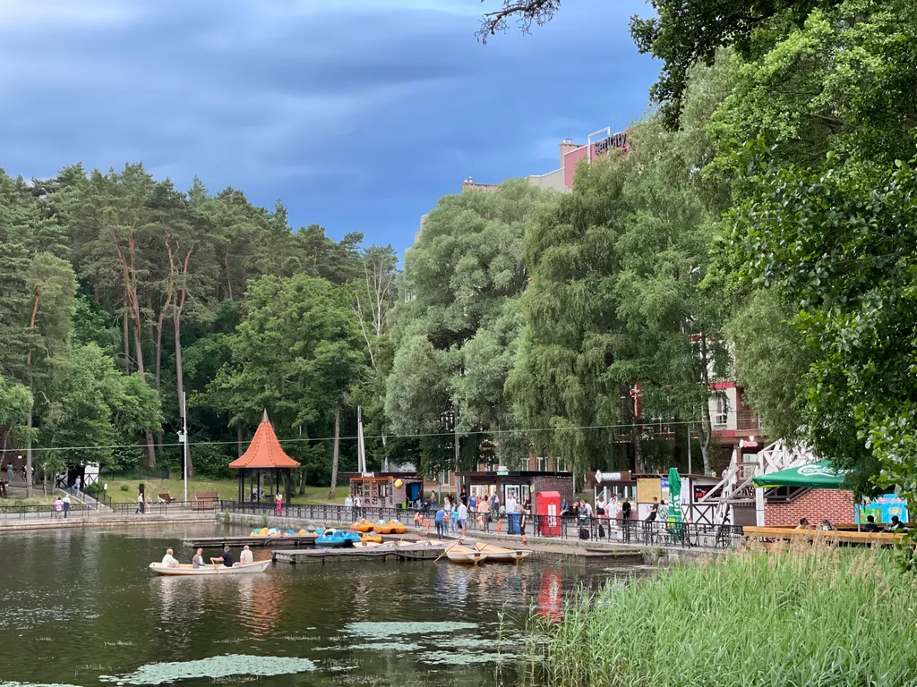 Уютная квартира с видом на озеро и сосновый лес