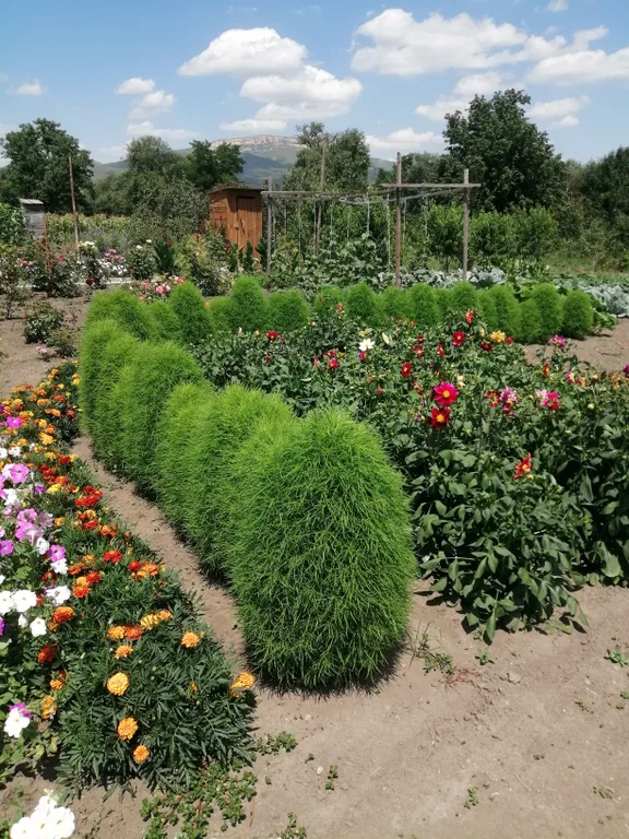 Домик в тихом месте возле горной реки