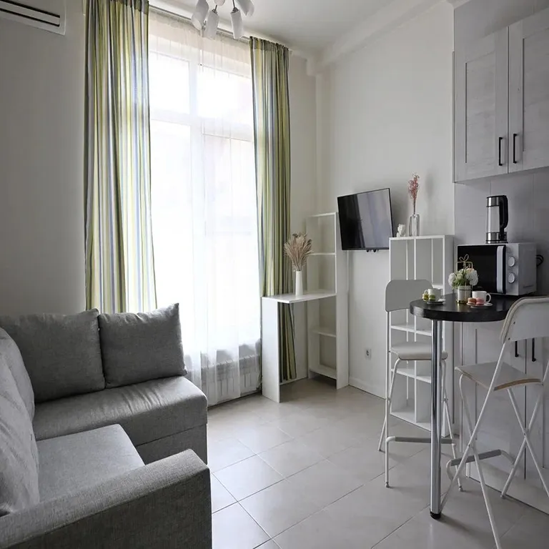 Квартира Квартира Уютная студия у Олимпийского парка — Сириус