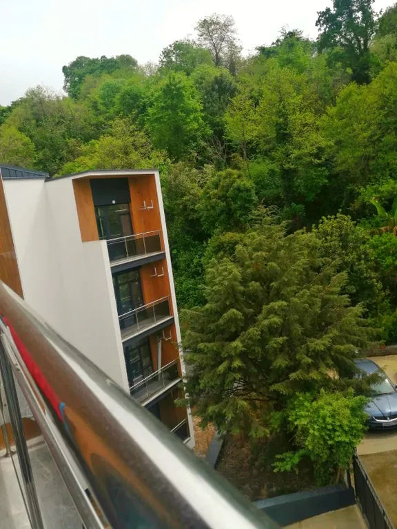 Уютная студия с видом на лес