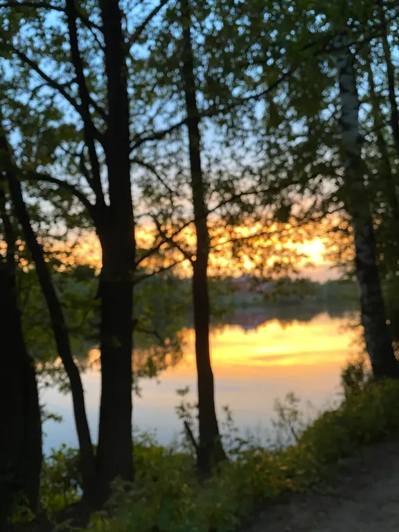 Загородный дом в соснах недалеко от Москвы