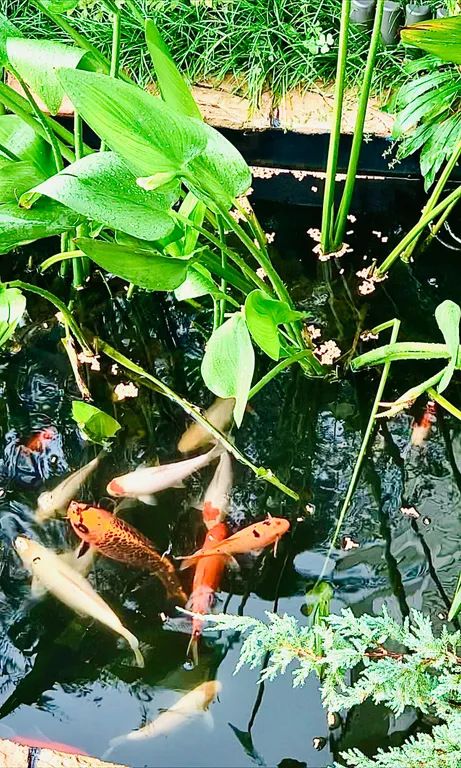 Этаж под ключ с видом на море