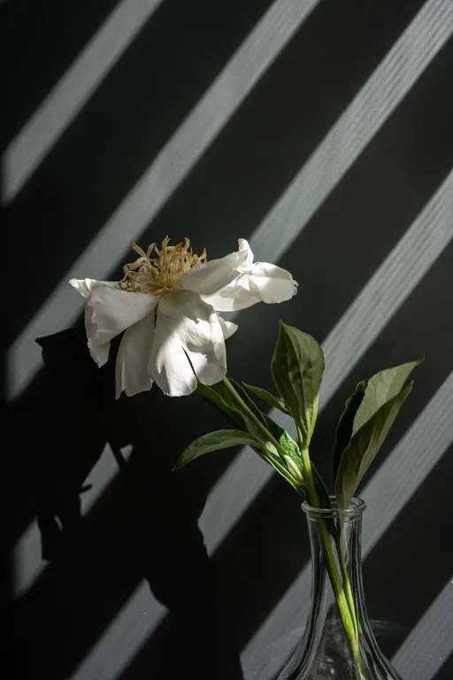 Стильная квартира-студия в историческом центре — аренда посуточно в Гродно