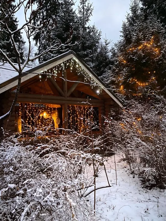 Коттедж Домик у леса с баней на дровах — Алексино