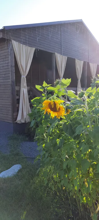 Дача у реки