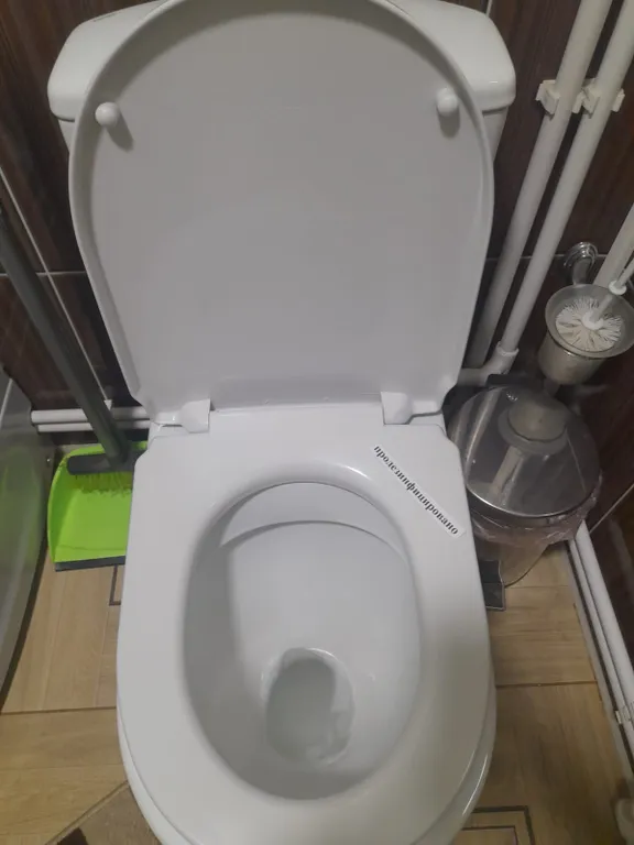 Апартаменты с видом на берёзовый лес