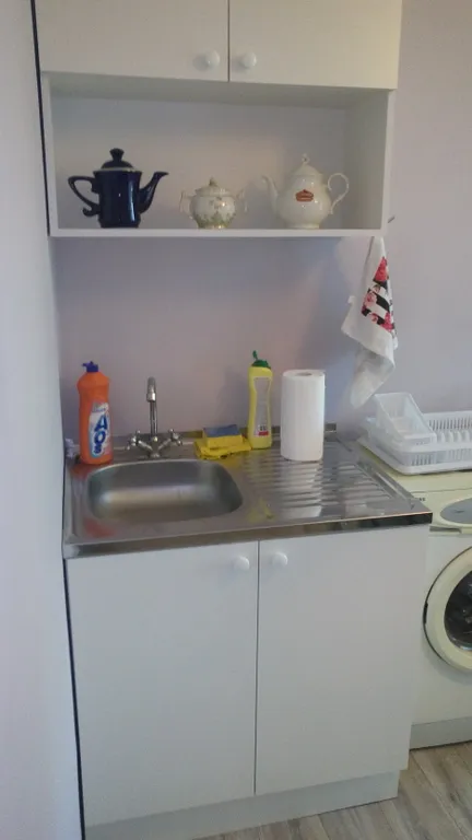 Квартира Уютная квартира с видом на Муринский парк — Санкт-Петербург