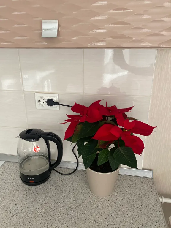 Современная уютная квартира