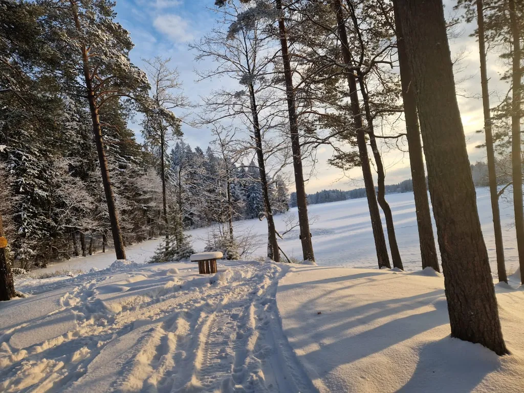 Коттедж Эко-дом у озера: отдых вдали от суеты — Лебяжье