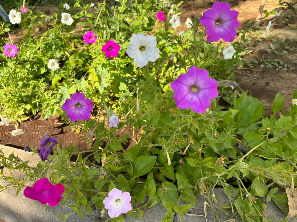 Квартира Квартира рядом с Мамаевым курганом — Волгоград