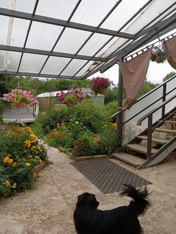 Номер эконом, с/у на блок