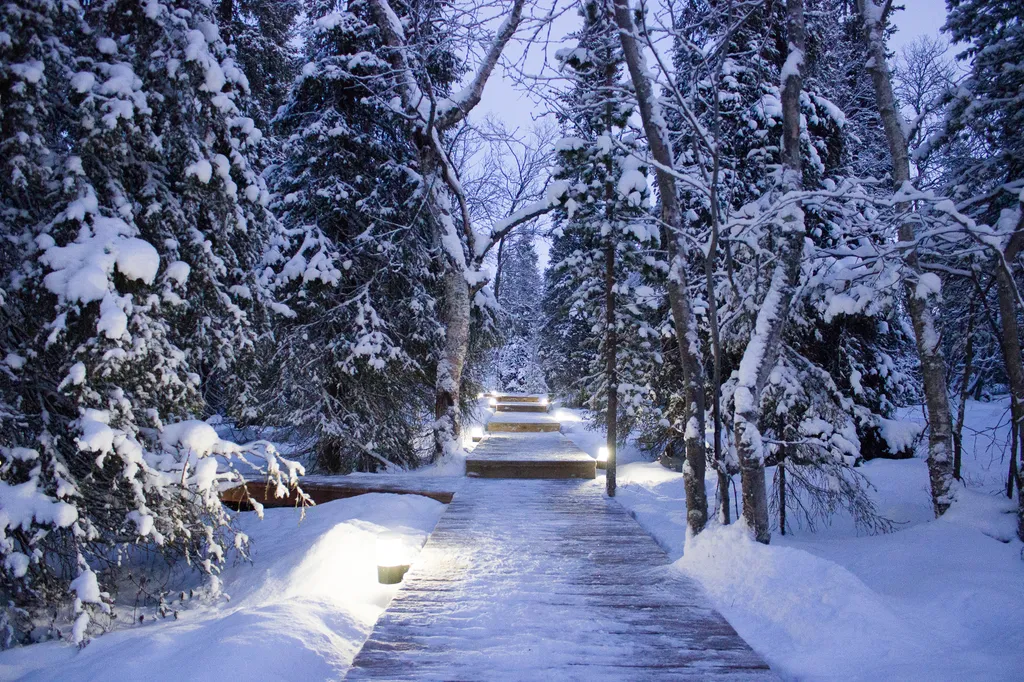 Купольный эко-шатёр