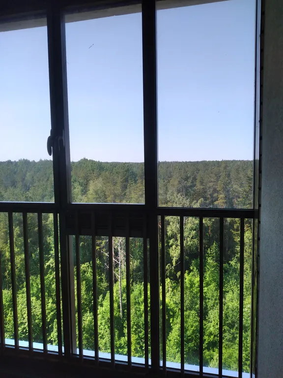 Уютная квартира с видом на лес и залив