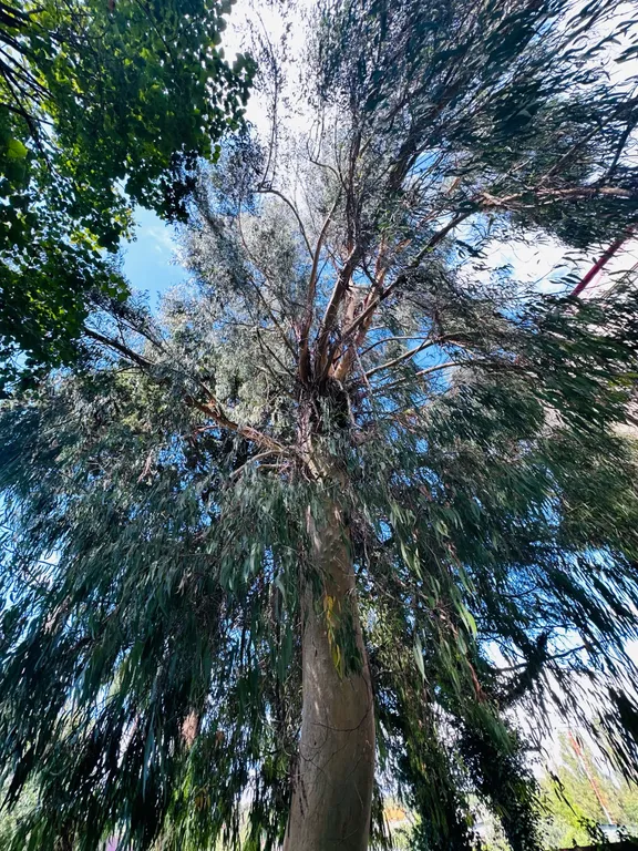 Апартаменты "Матисс" в 300 м от песчаного пляжа,балкон с видом на море