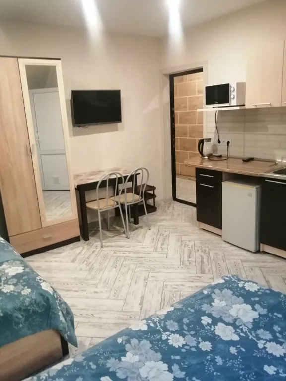 Квартира Квартира Студия в Олимпийском парке — Сириус